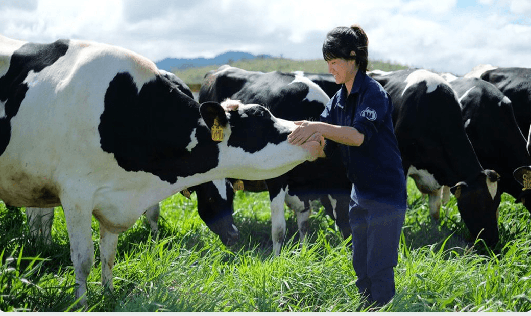 AI Camera monitoring dashboard