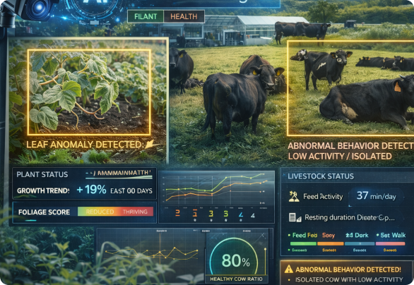 AI Camera System for Monitoring Crops and Cattle